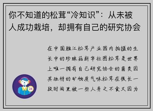 你不知道的松茸“冷知识”：从未被人成功栽培，却拥有自己的研究协会