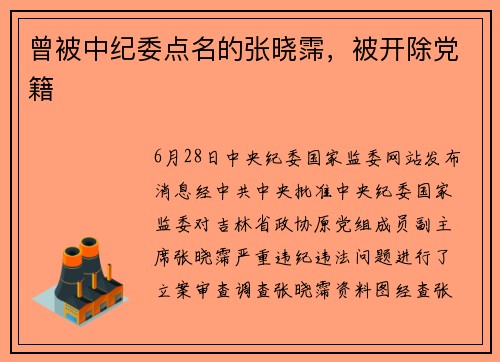 曾被中纪委点名的张晓霈，被开除党籍